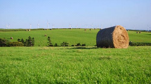 揚(yáng)帆起航，紅瓜子文化傳媒開啟大航海之路