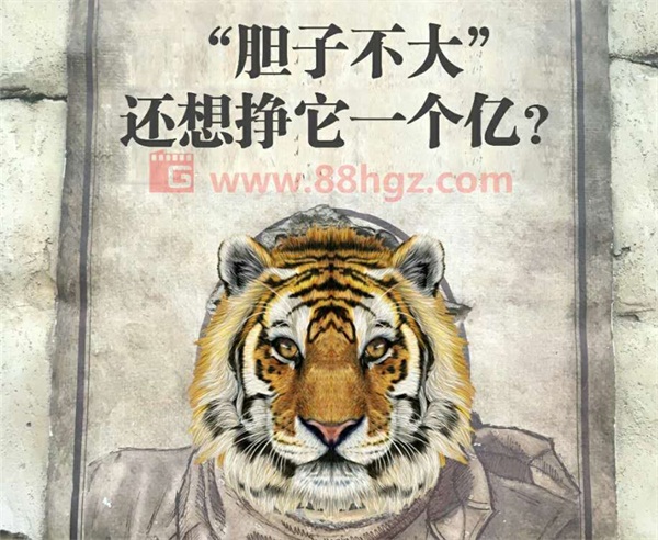 還能更高嗎？與迪瑪希共鳴的，是我們追隨企業(yè)宣傳片的信仰