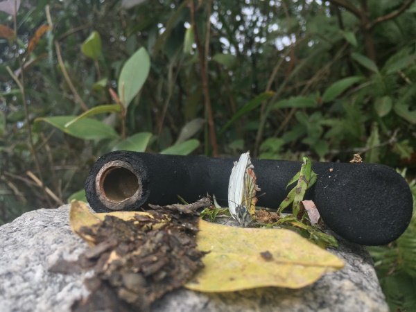 你在故宮修文物，我在紅瓜子拍企業(yè)宣傳片