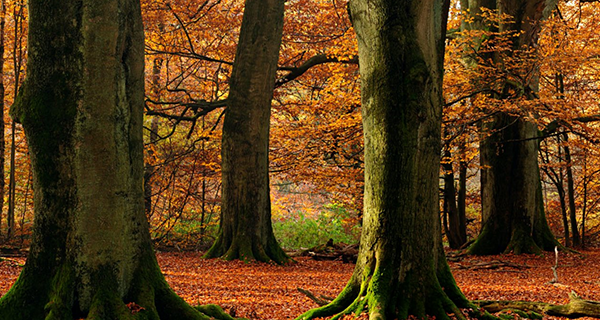 我們最為熟知的企業(yè)宣傳片制作流程是什么呢？