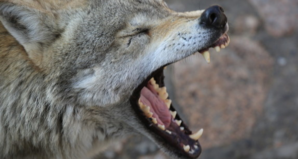 瓜子指南：怎樣拍攝新穎且極具傳播力企業(yè)宣傳片？